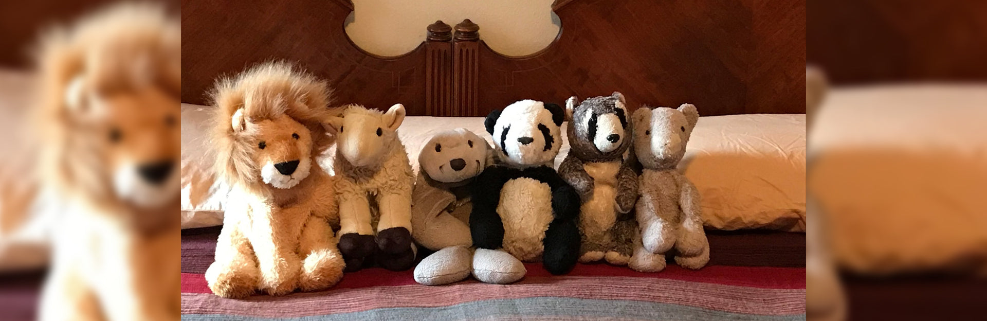 Unique Ideas to Display Your Stuffed Animals [Full Guide] - PlushThis