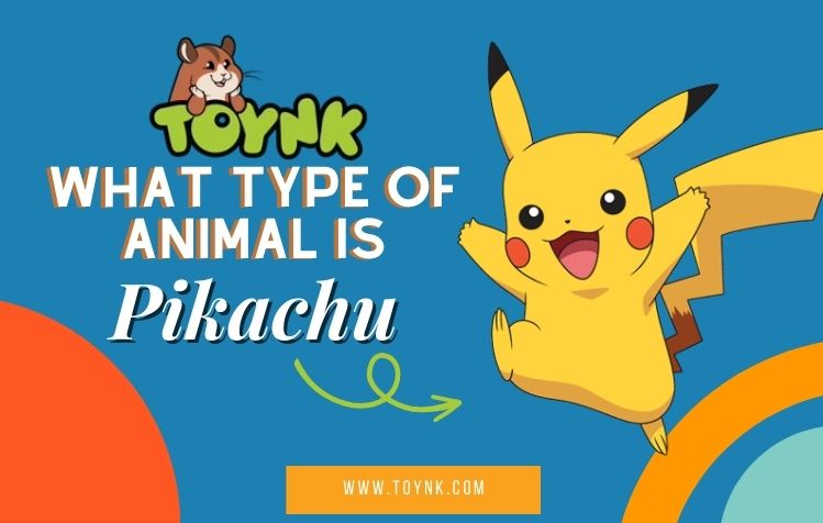 Blog posts What Type Of Animal Is Pikachu