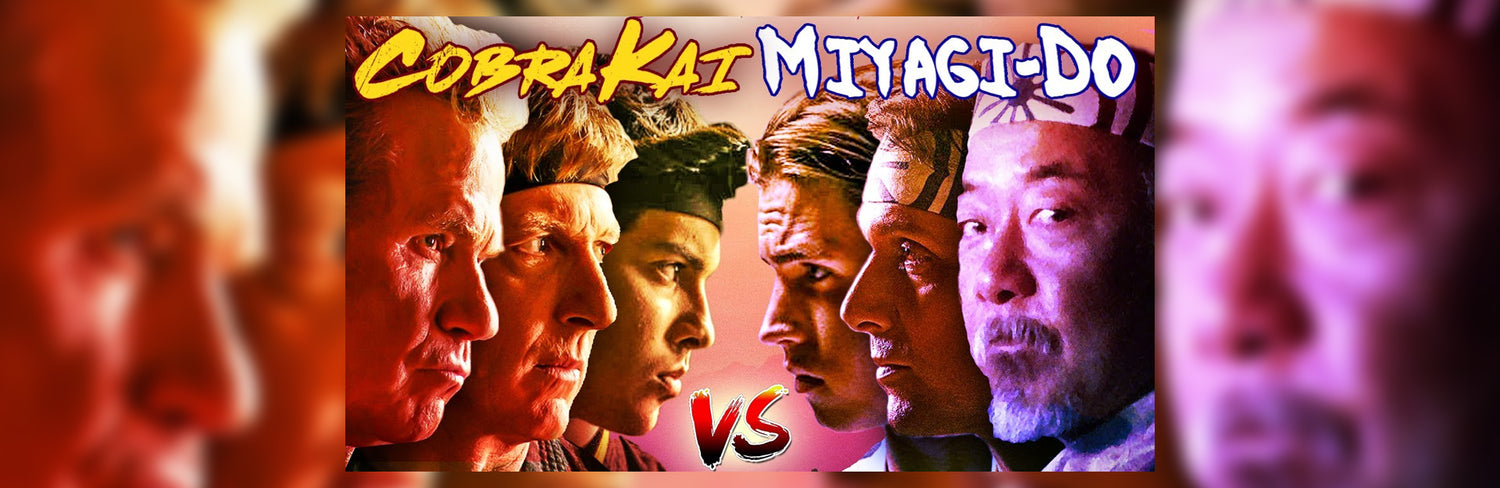 Cobra Kai vs Miyagi Do: Full Comparison (2024 Updated)