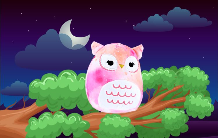 Olalla the Owl Squishmallow