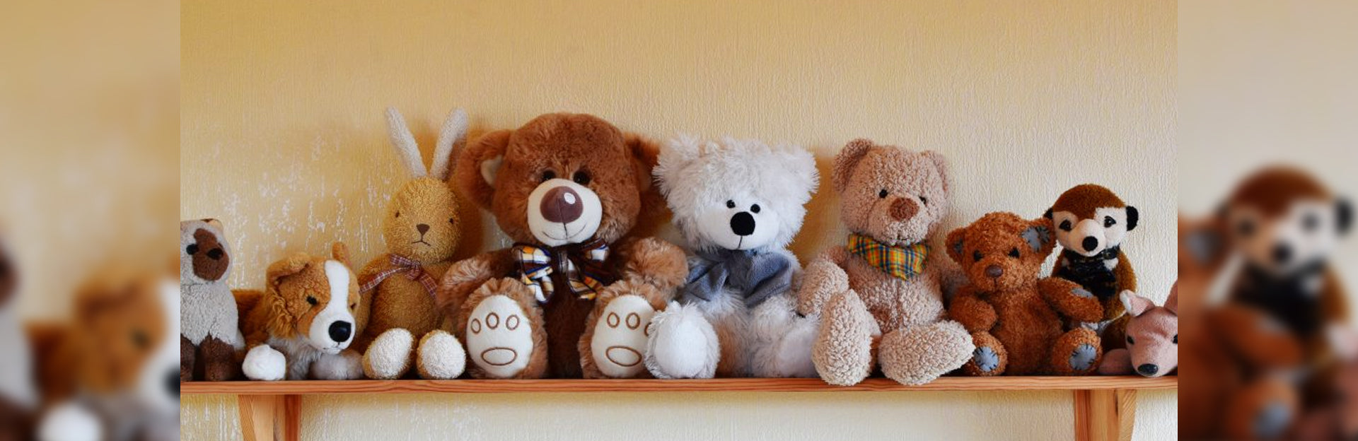 20 Best Stuffed Animal Storage Ideas (2024 Updated)