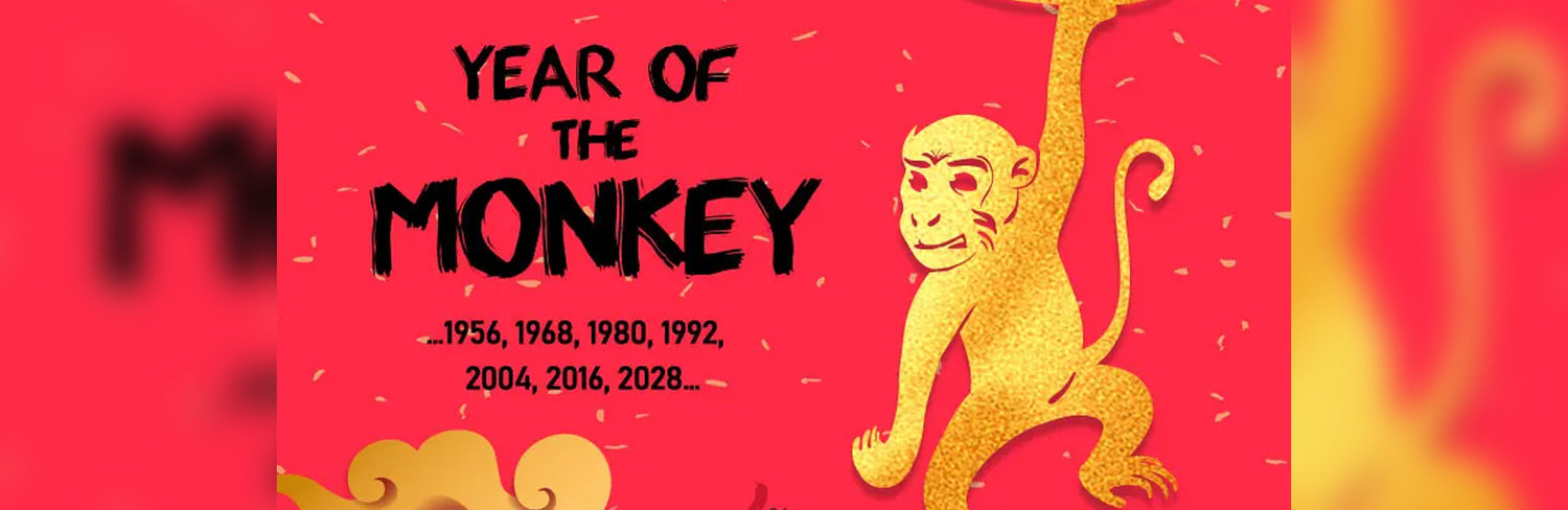 Year of the Monkey: Chinese Zodiac Guide (2024 Updated)