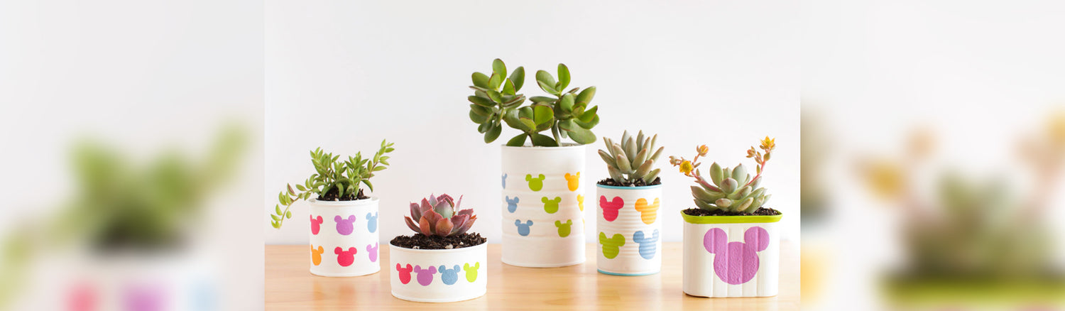 Double-Duty Mini Succulent Planter - from Halloween to