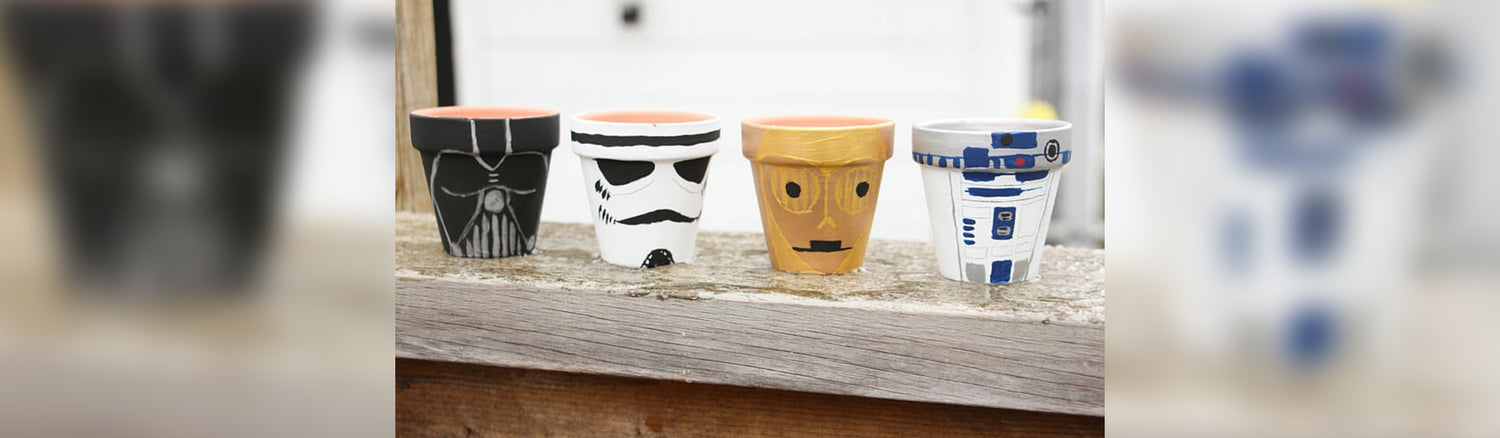 15 Best Star Wars Planters For Your Garden (2024 Updated)