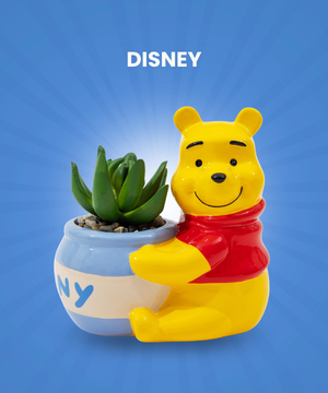 Disney