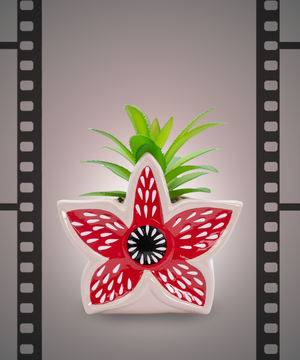 Movies & TV