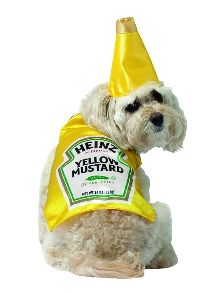 Heinz Mustard Bottle Pet Dog Costume
