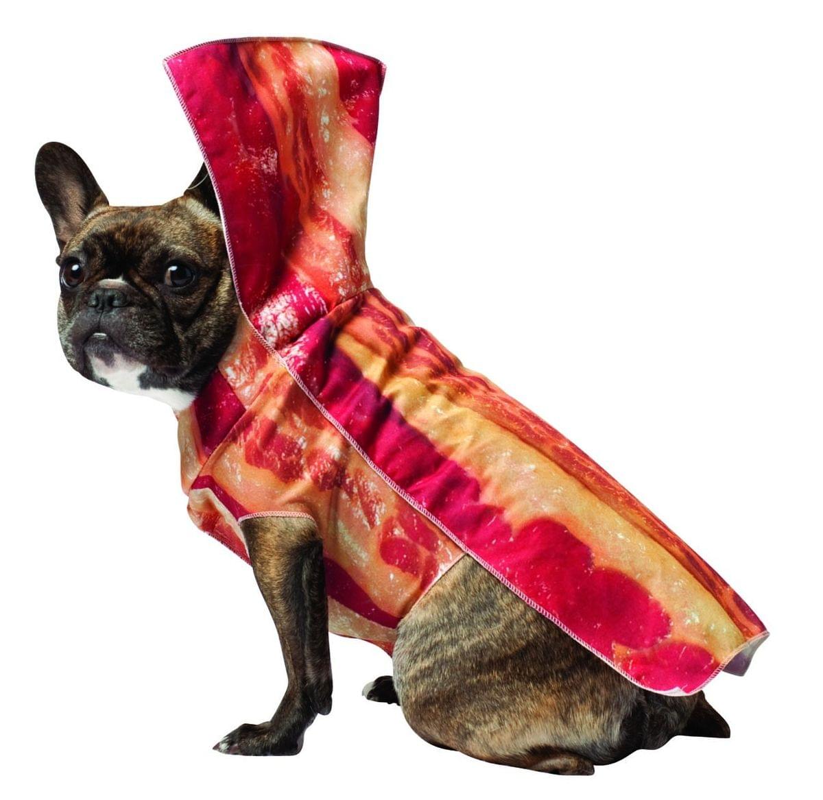 Bacon Pet Dog Costume