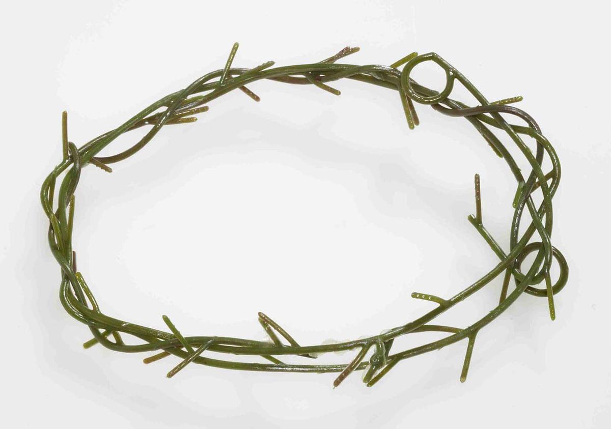 Jesus Thorn Crown Costume Accessory