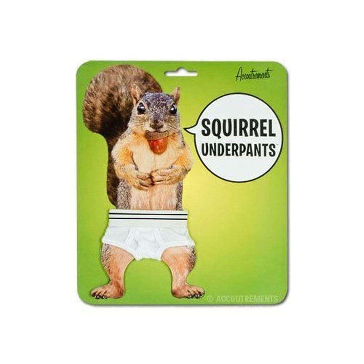 Mini Squirrel Underpants For Boys