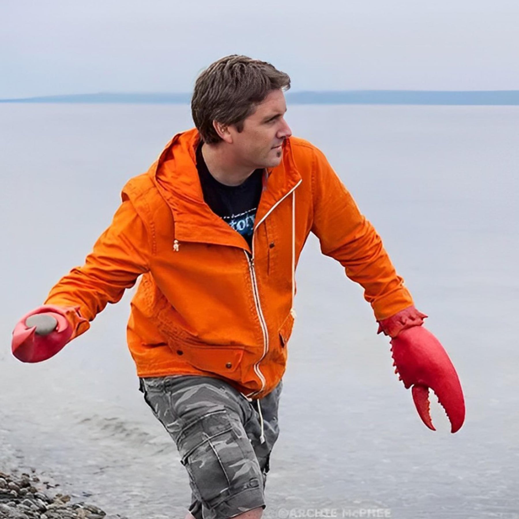 Lobster Claw Hands Costume Accessory