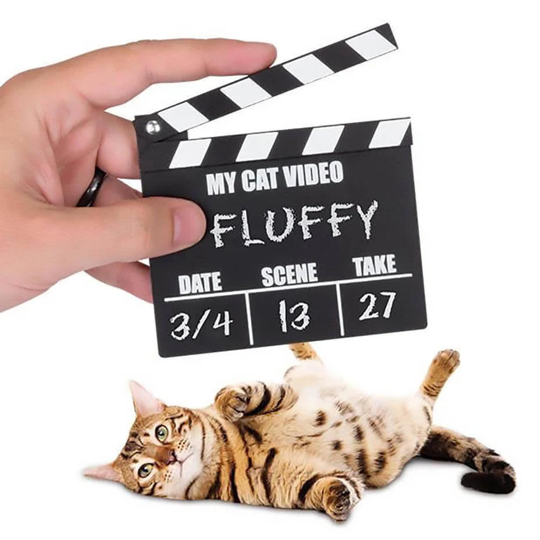 Cat Video Clapperboard Accessory