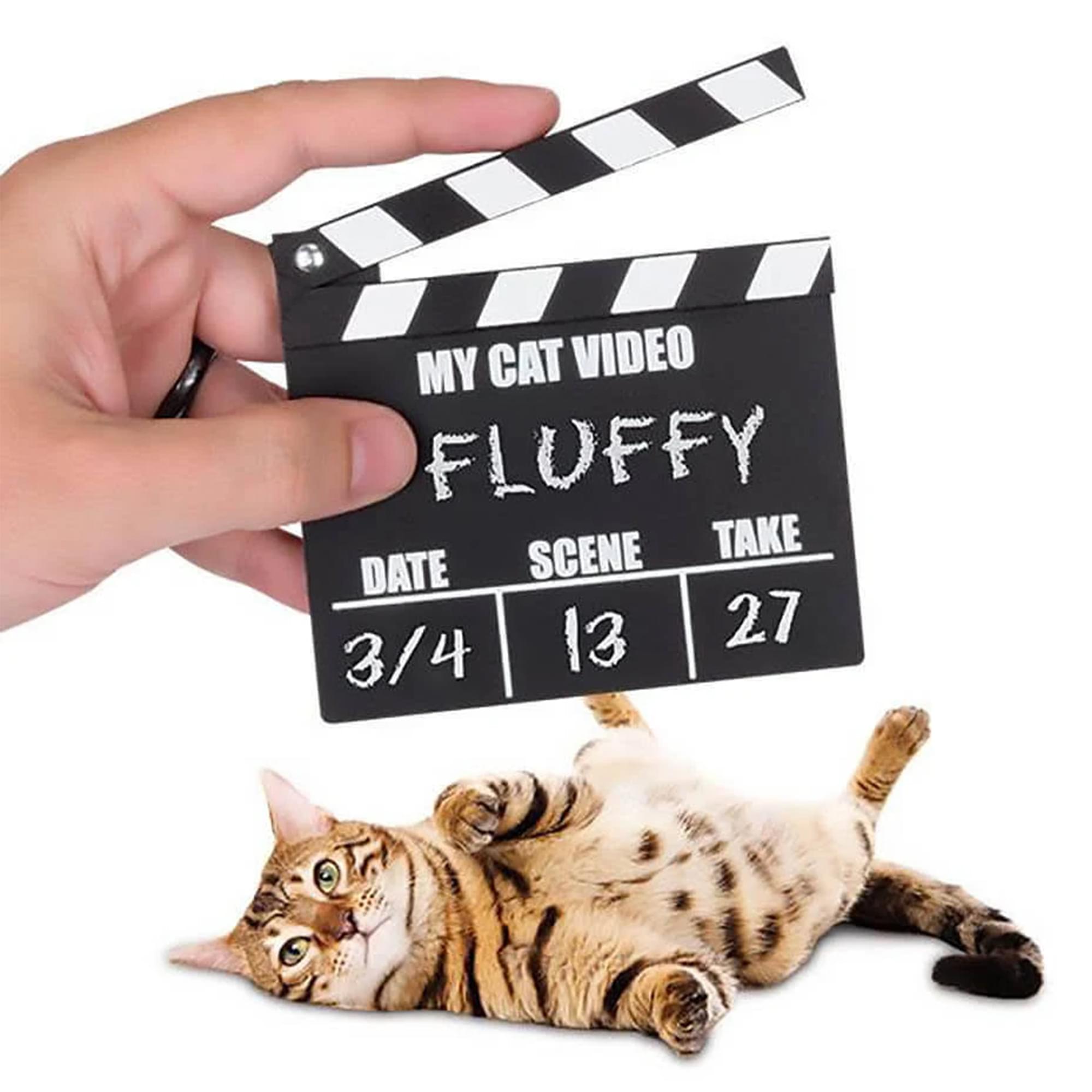 Cat Video Clapperboard Accessory