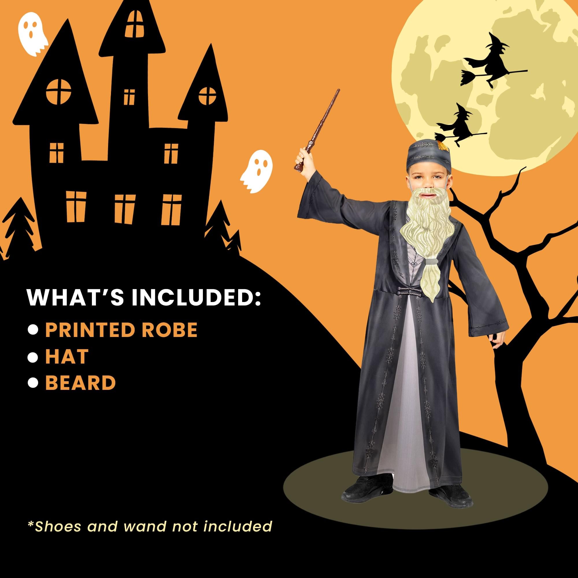 Harry Potter Dumbledore Child Costume