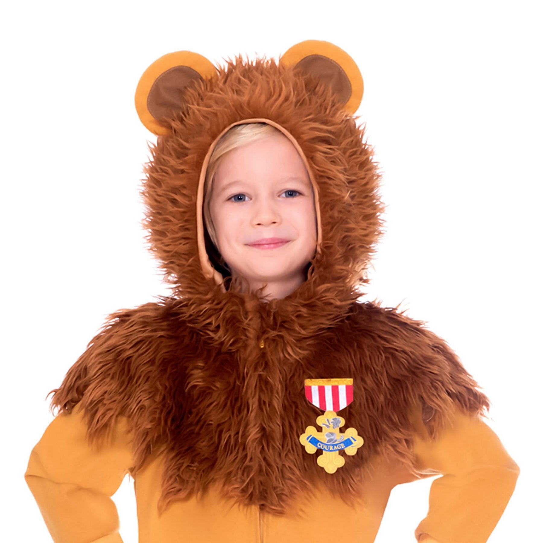 The Wizard Of Oz Lion Child Costume
