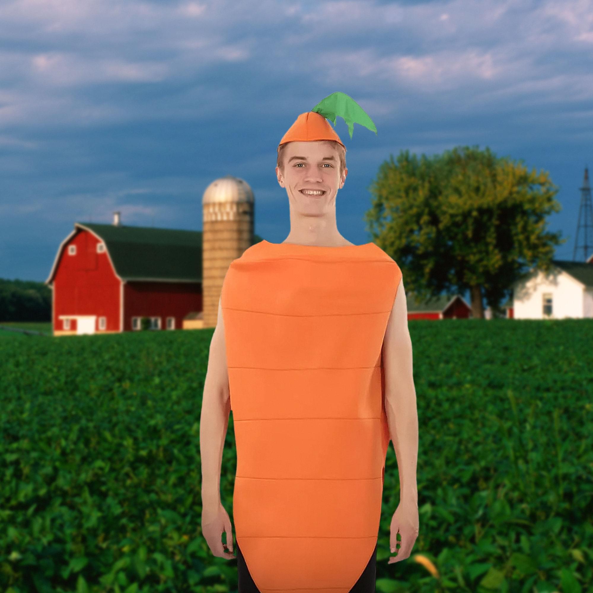 Carrot Adult Costume, One Size