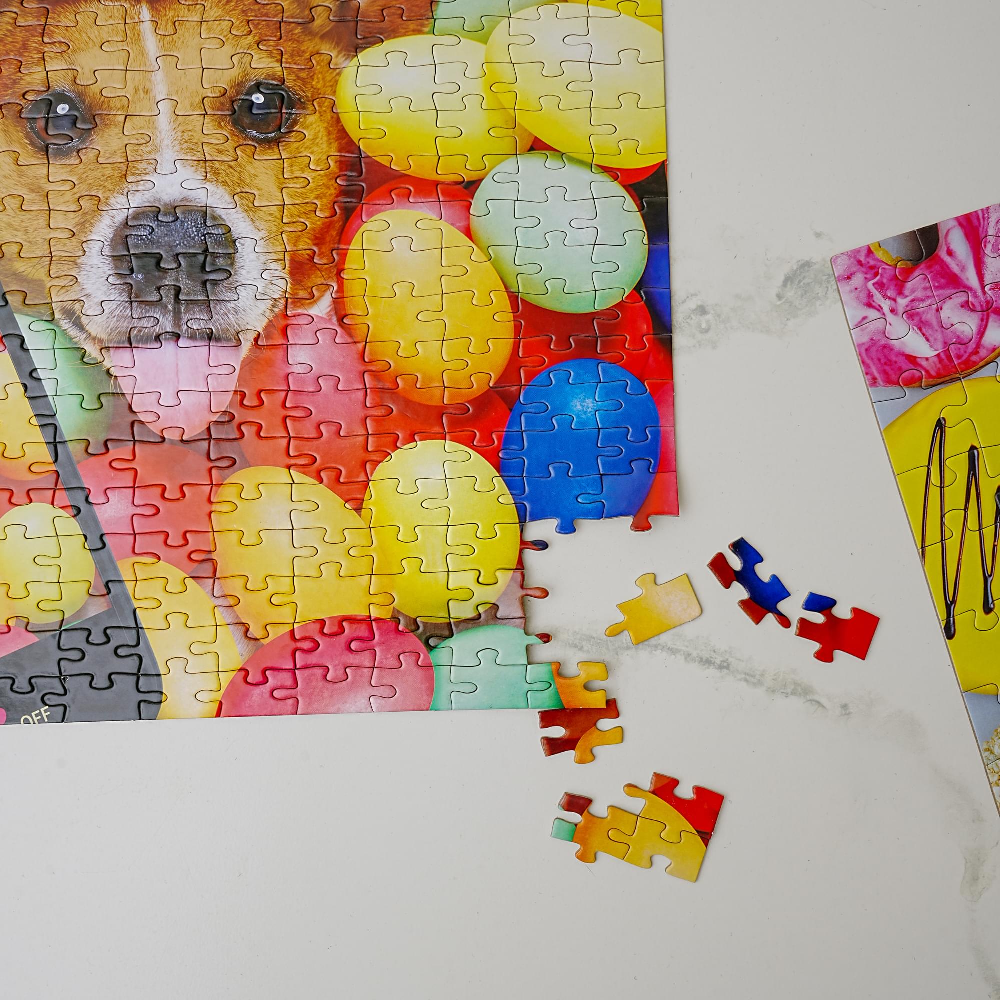 3 in 1 Jigsaw Puzzle Pack | 300, 100 and 48 Pieces