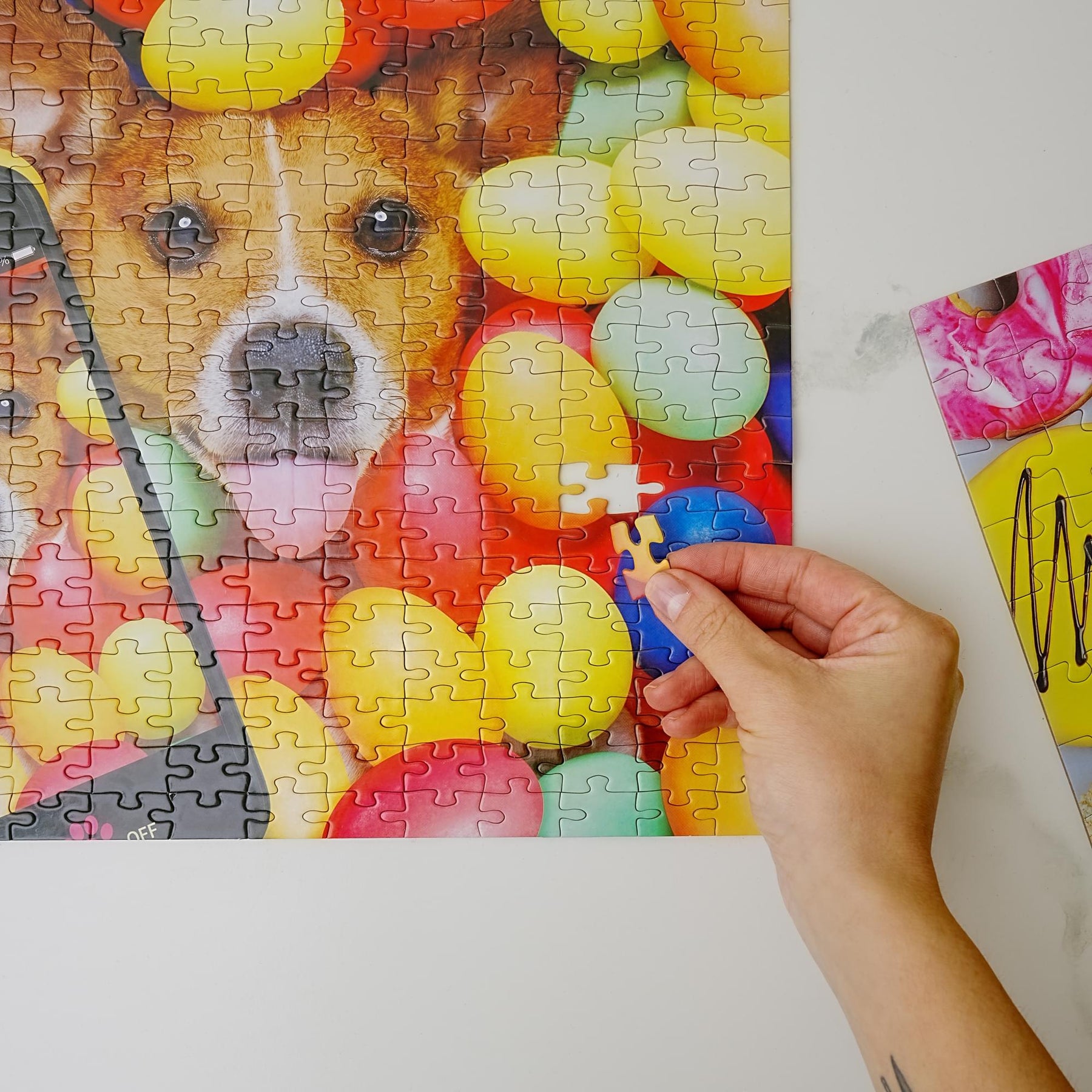 3 in 1 Jigsaw Puzzle Pack | 300, 100 and 48 Pieces