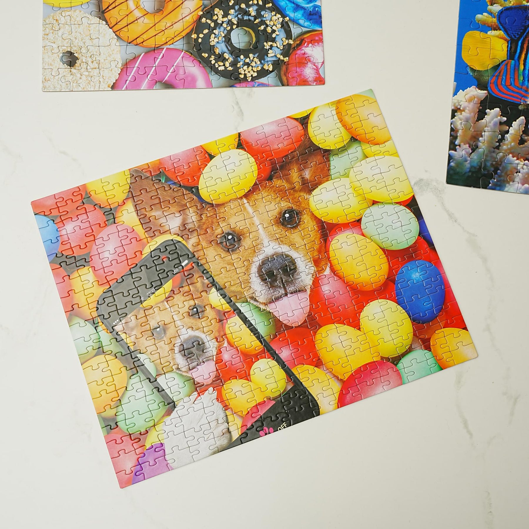 3 in 1 Jigsaw Puzzle Pack | 300, 100 and 48 Pieces