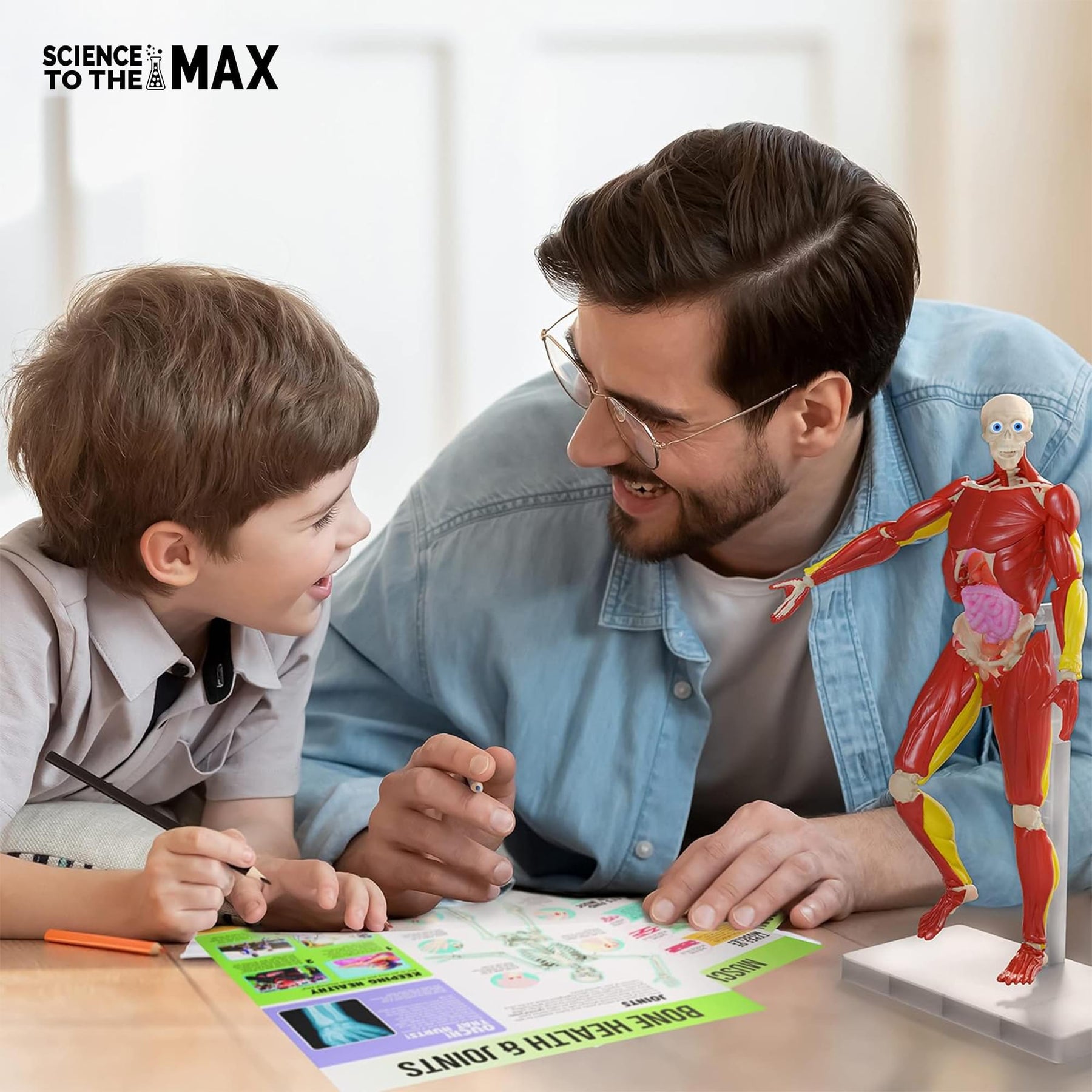 Science To The Max 60-Piece Poseable Human Anatomy Figure | 14 Inches