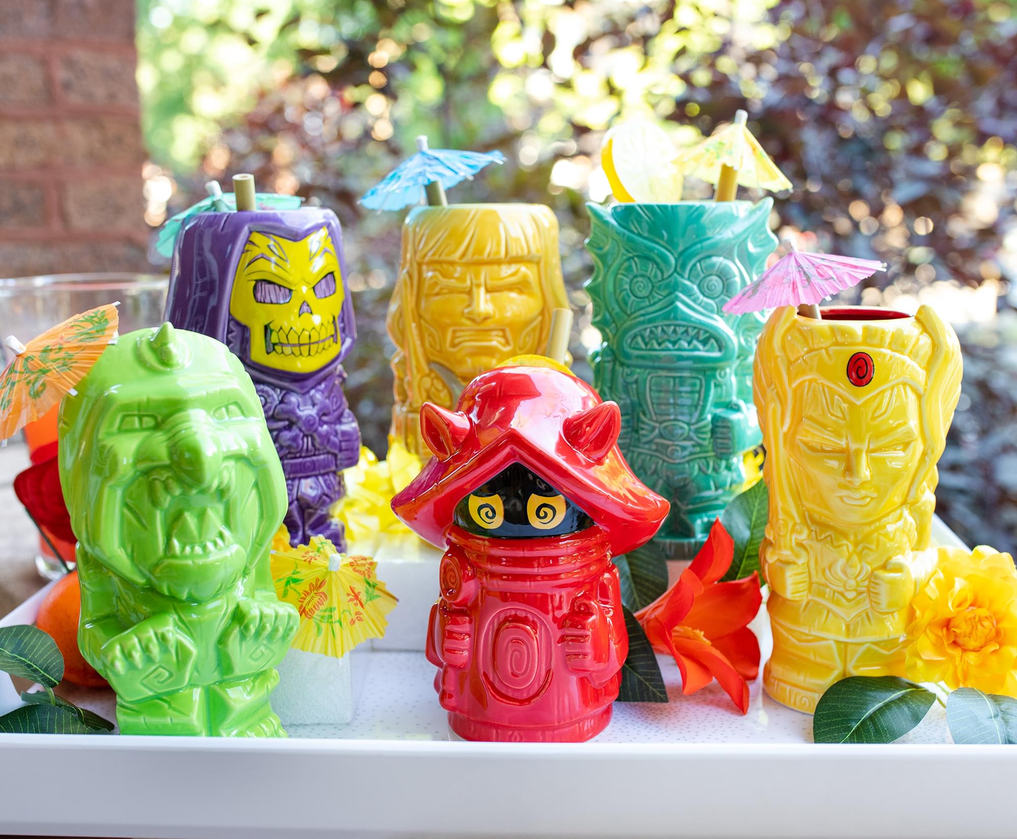 Geeki Tikis Masters of the Universe Ceramic Mugs | Set of 6