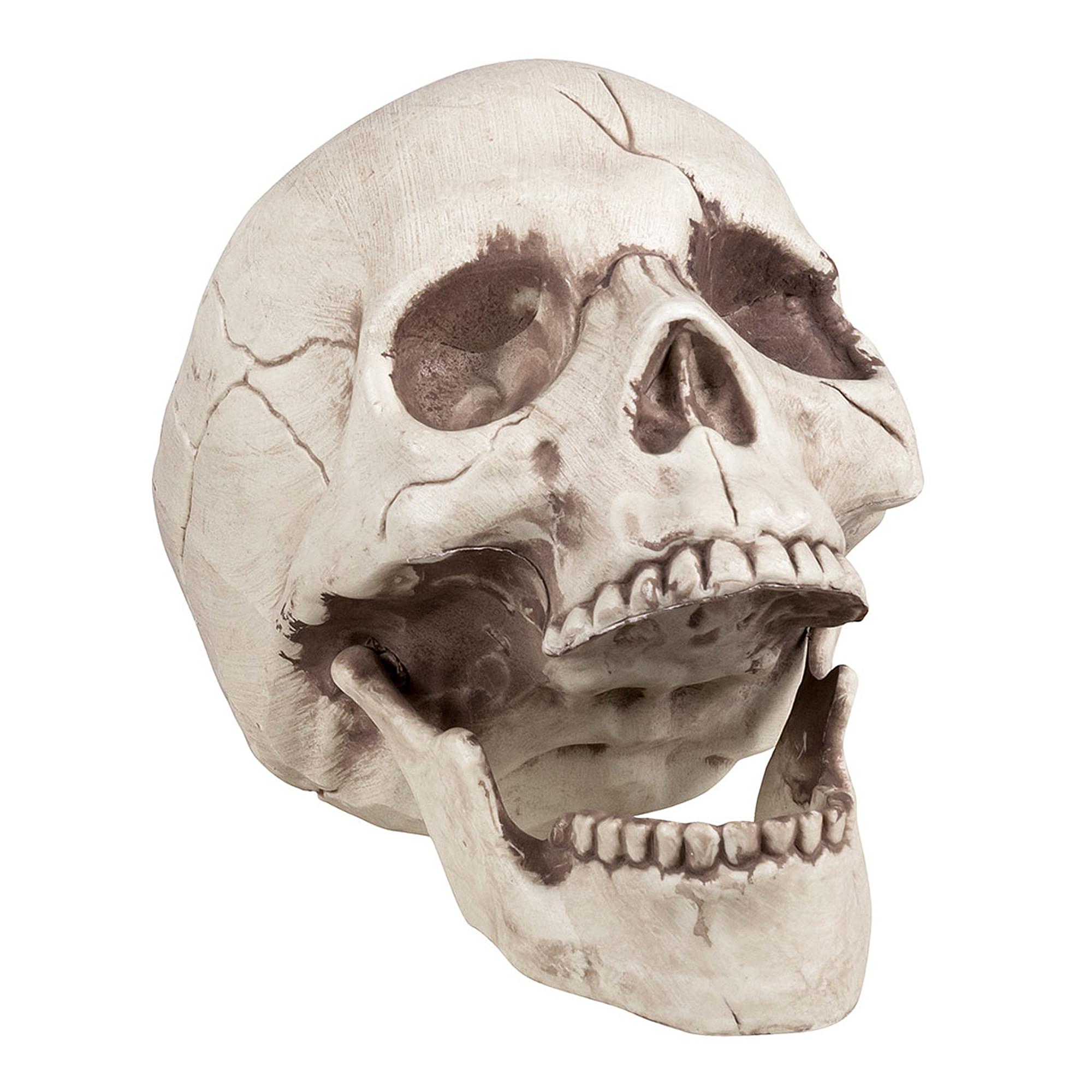 Skull With Movable Jaw Halloween Decoration