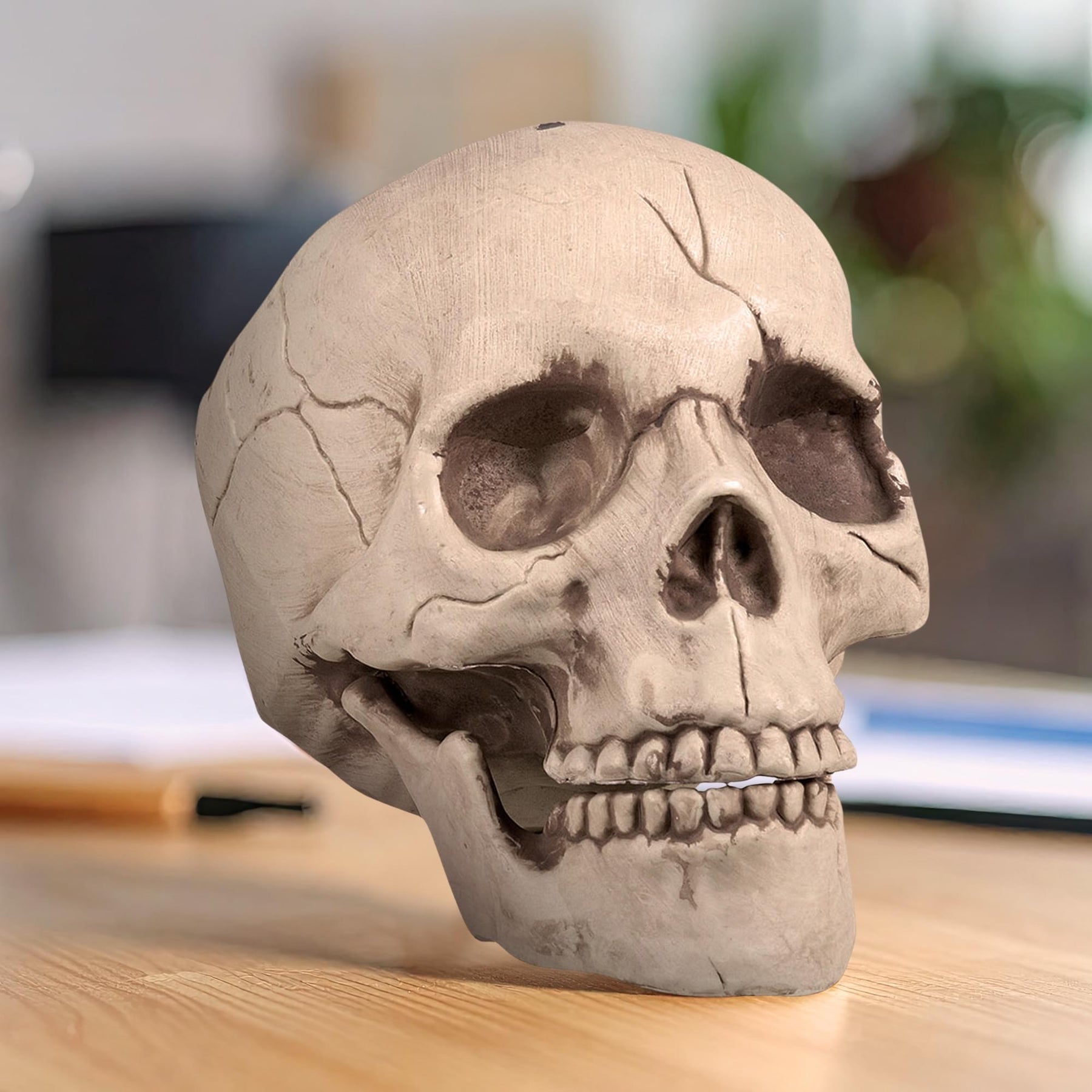 Skull With Movable Jaw Halloween Decoration