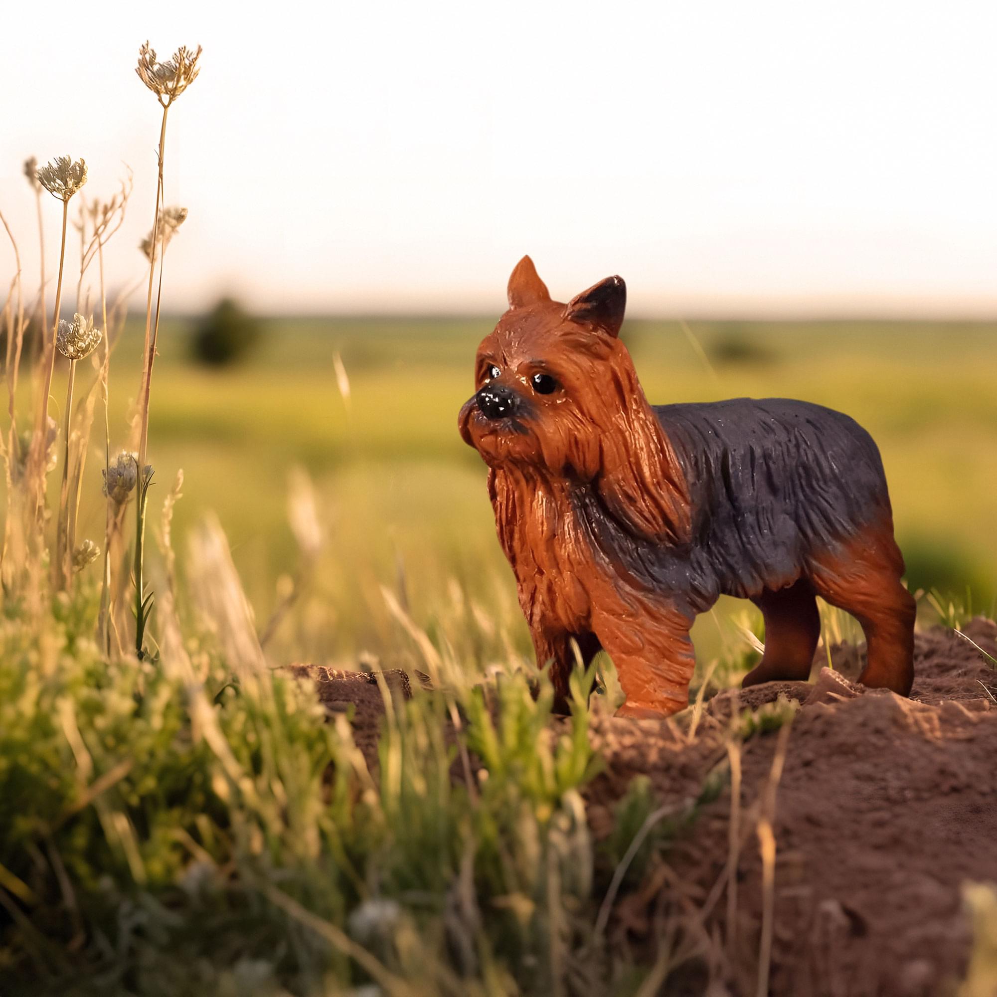 CollectA Cats & Dogs Collection Miniature Figure | Yorkshire Terrier