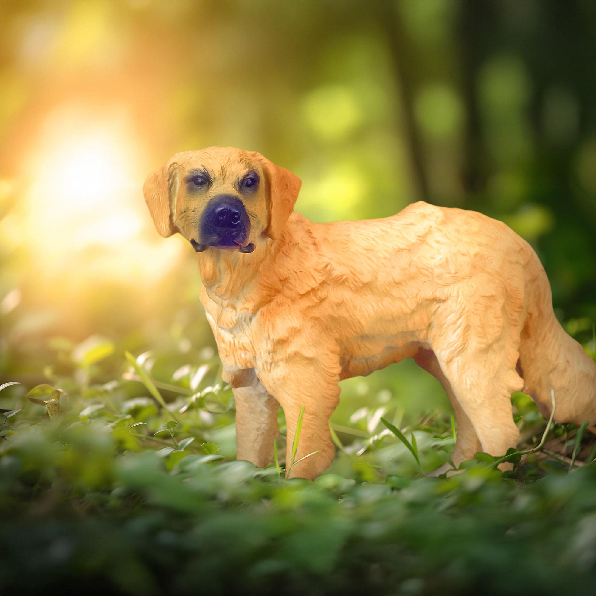 CollectA Cats & Dogs Collection Miniature Figure | Golden Retriever