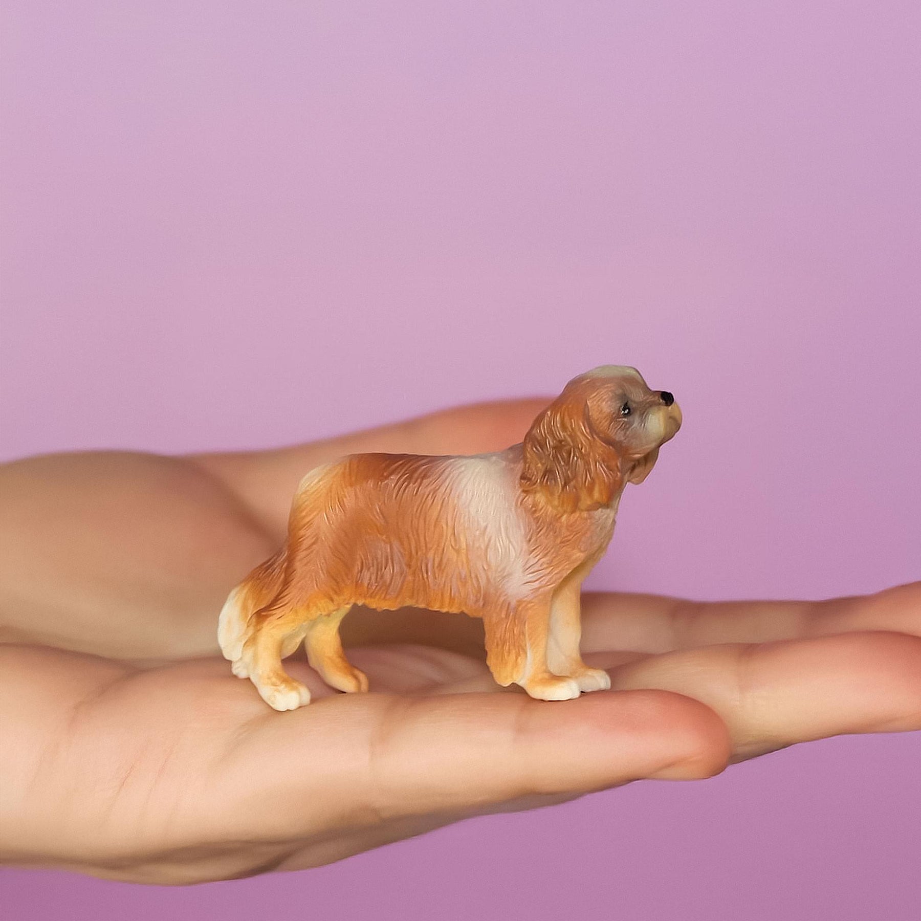 CollectA Cats & Dogs Collection Miniature Figure | Cavalier King Charles Spaniel