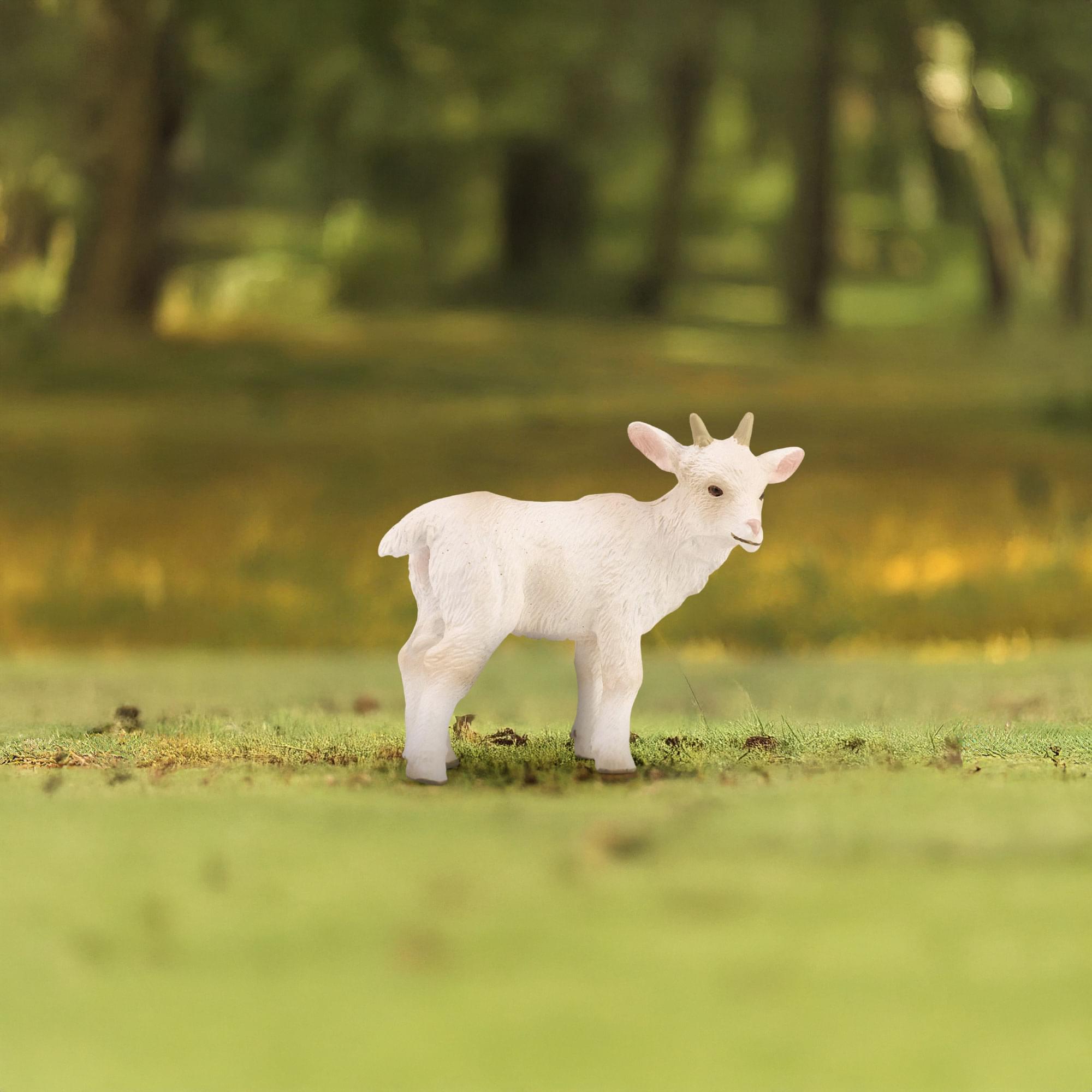 CollectA Farm Life Collection Miniature Figure | Standing Goat Kid