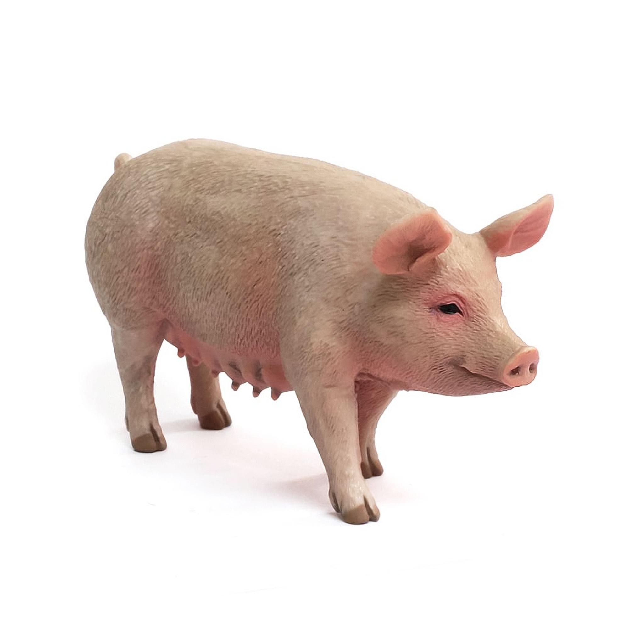 CollectA Farm Life Collection Miniature Figure | Sow