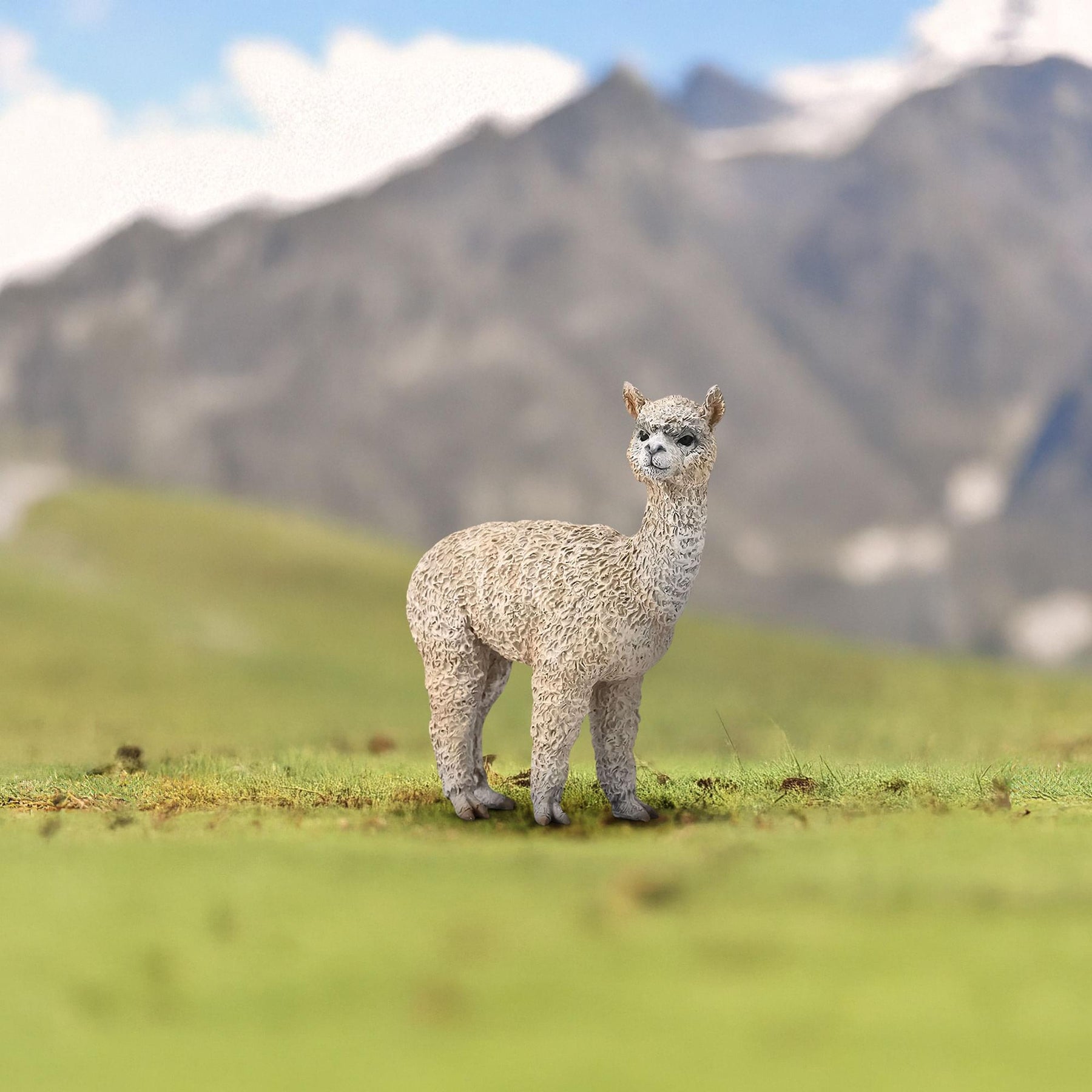 CollectA Farm Life Collection Miniature Figure | Alpaca
