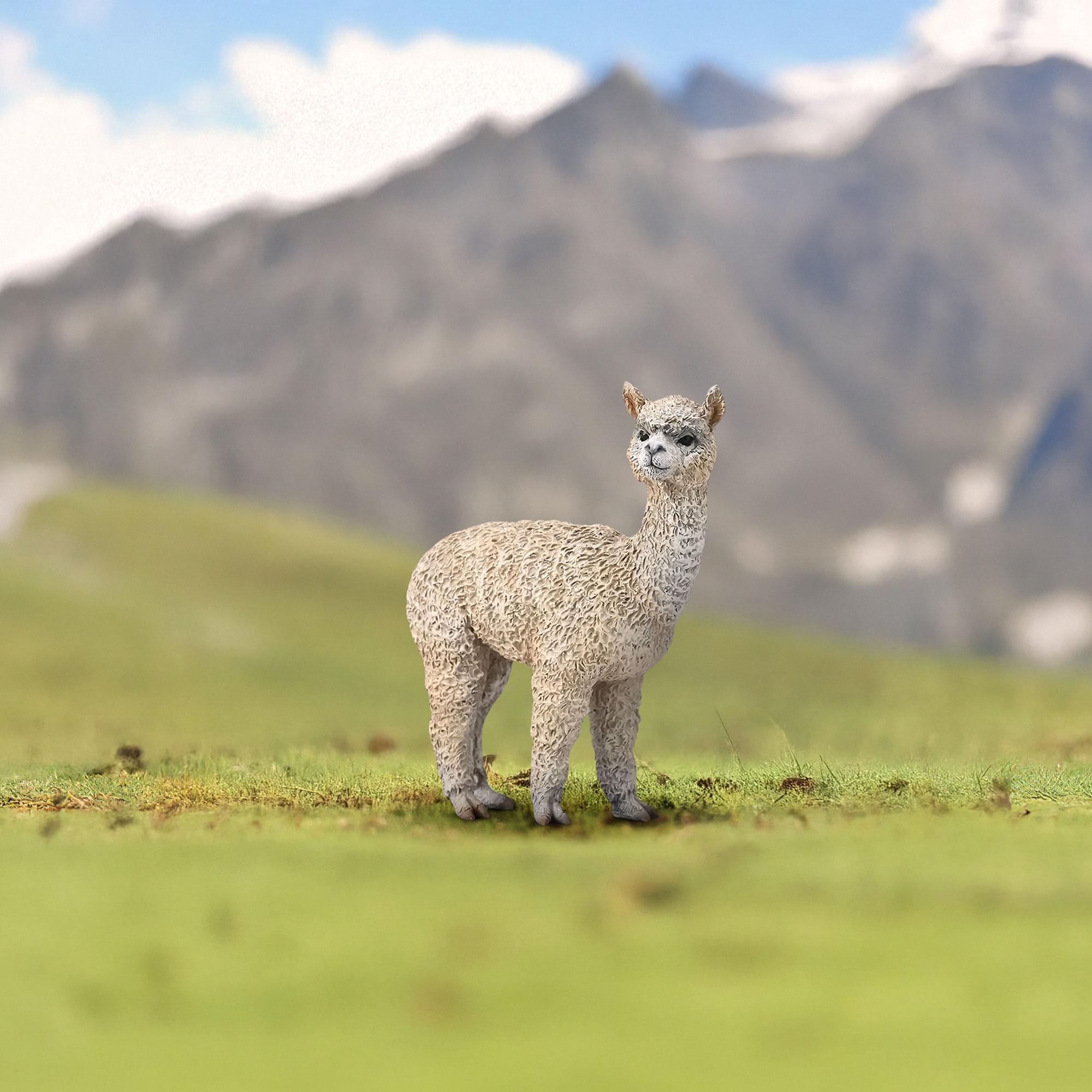 CollectA Farm Life Collection Miniature Figure | Alpaca