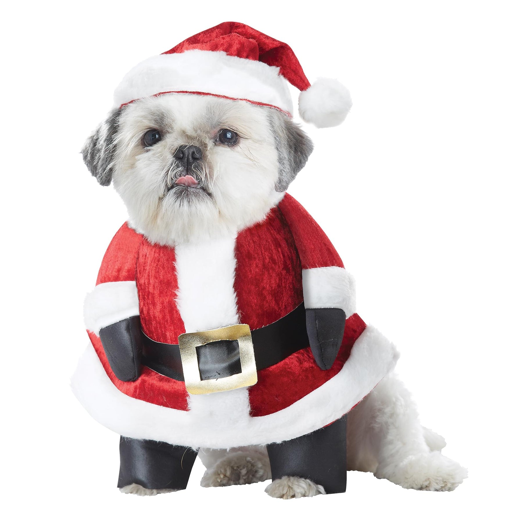 Santa Paws 8'' Chest, 12-16'' Waist