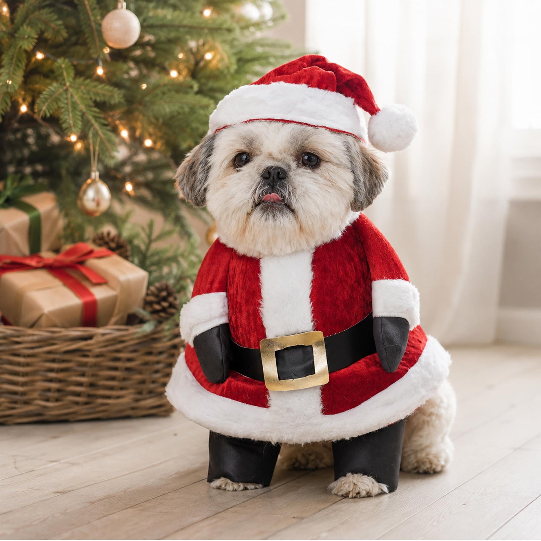 Santa Paws 8'' Chest, 12-16'' Waist