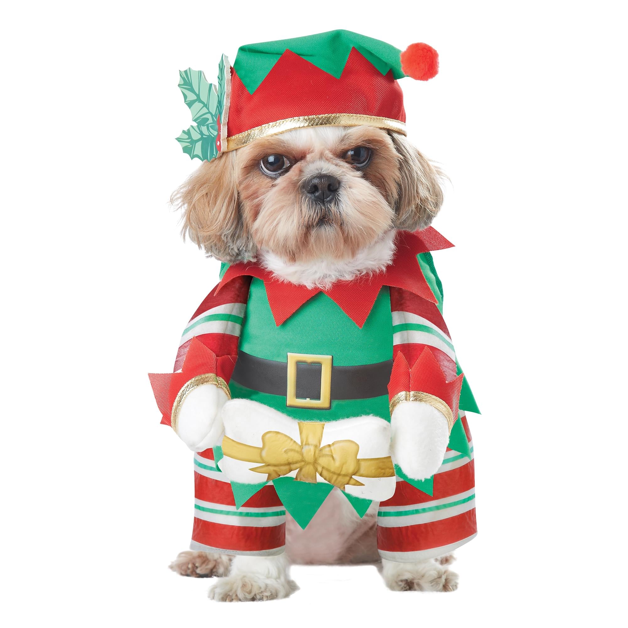 Elf Pup 12'' Chest, 16-20'' Waist