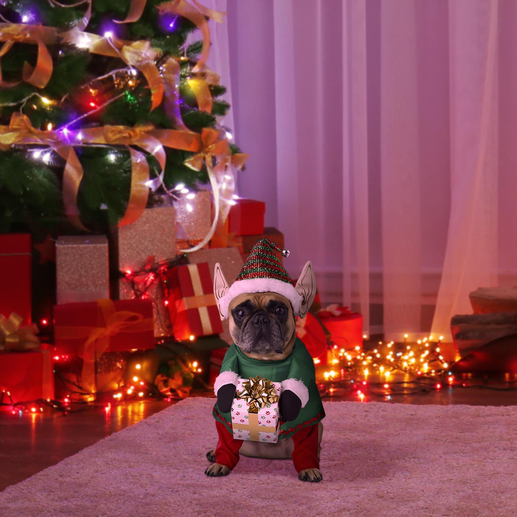Santa's Little Yelper Dog Costume