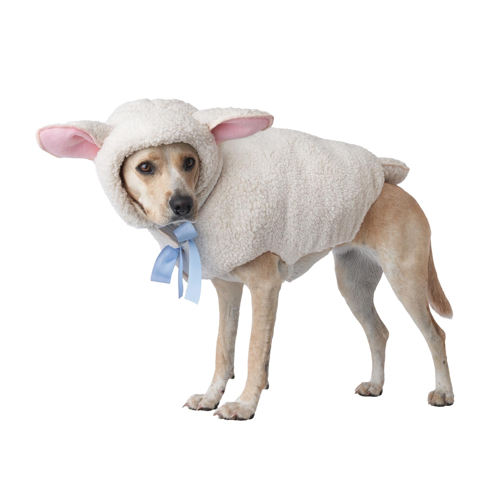 Sheep Dog Costume