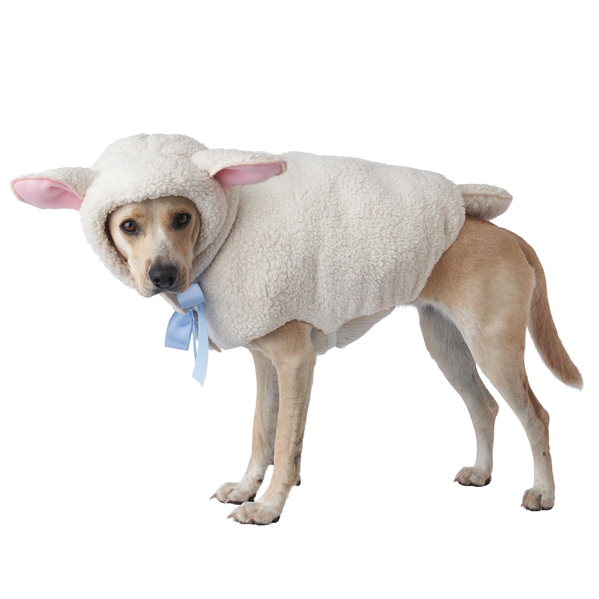 Sheep Dog Costume