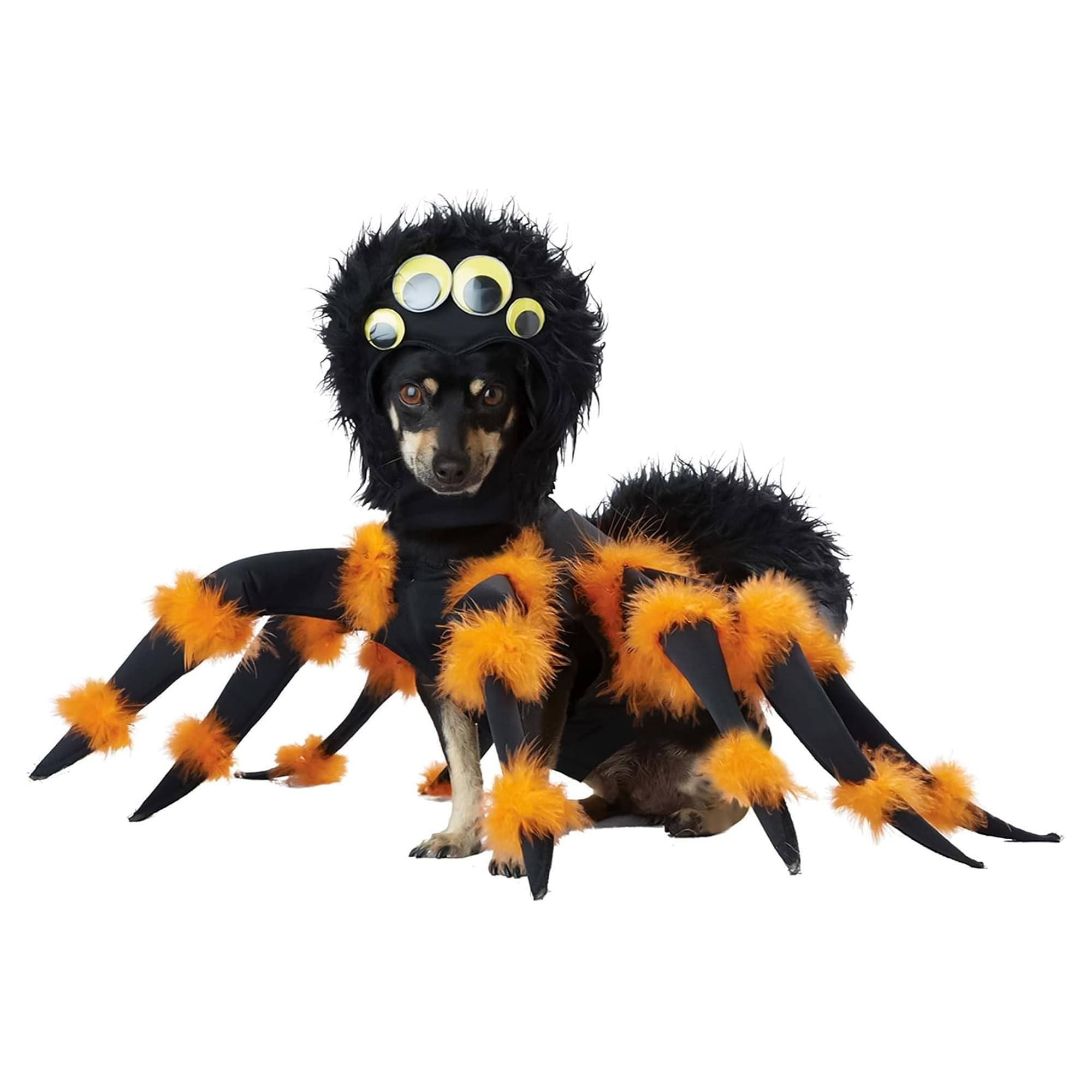 Spider Pup Pet Costume