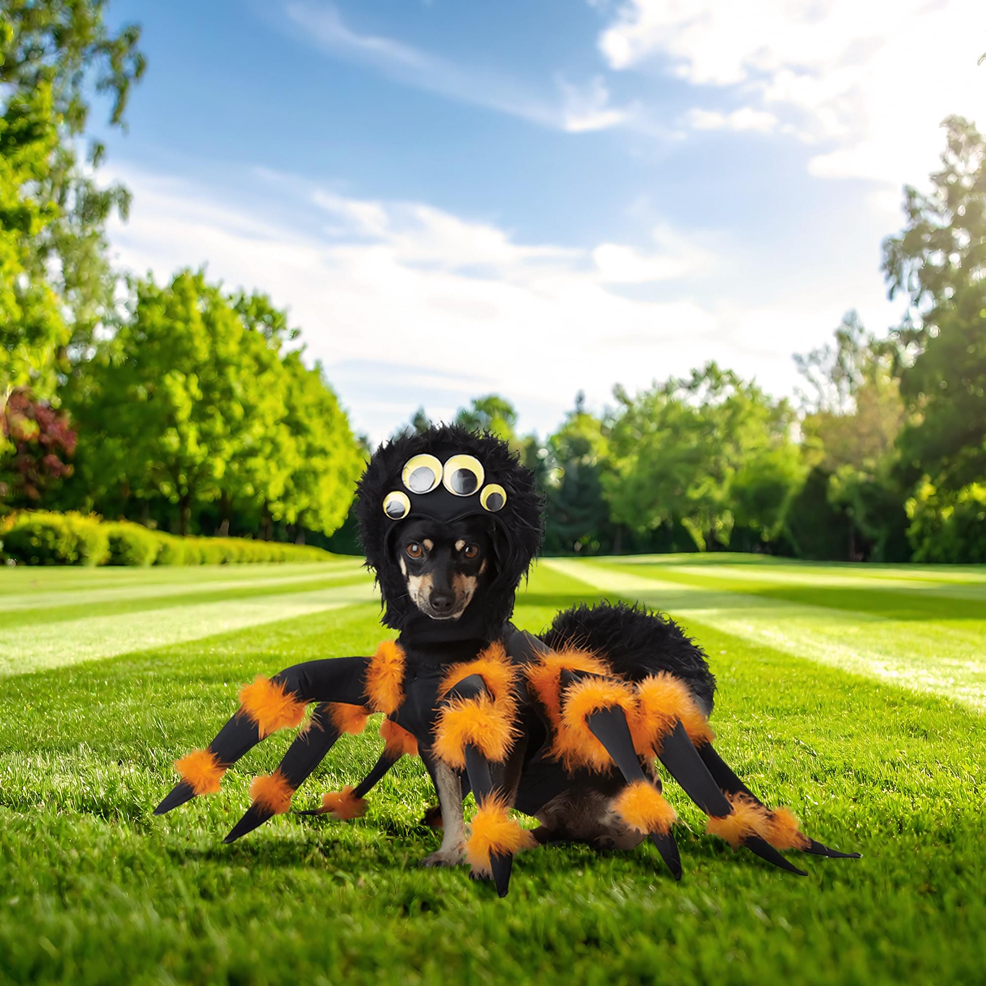 Spider Pup Pet Costume