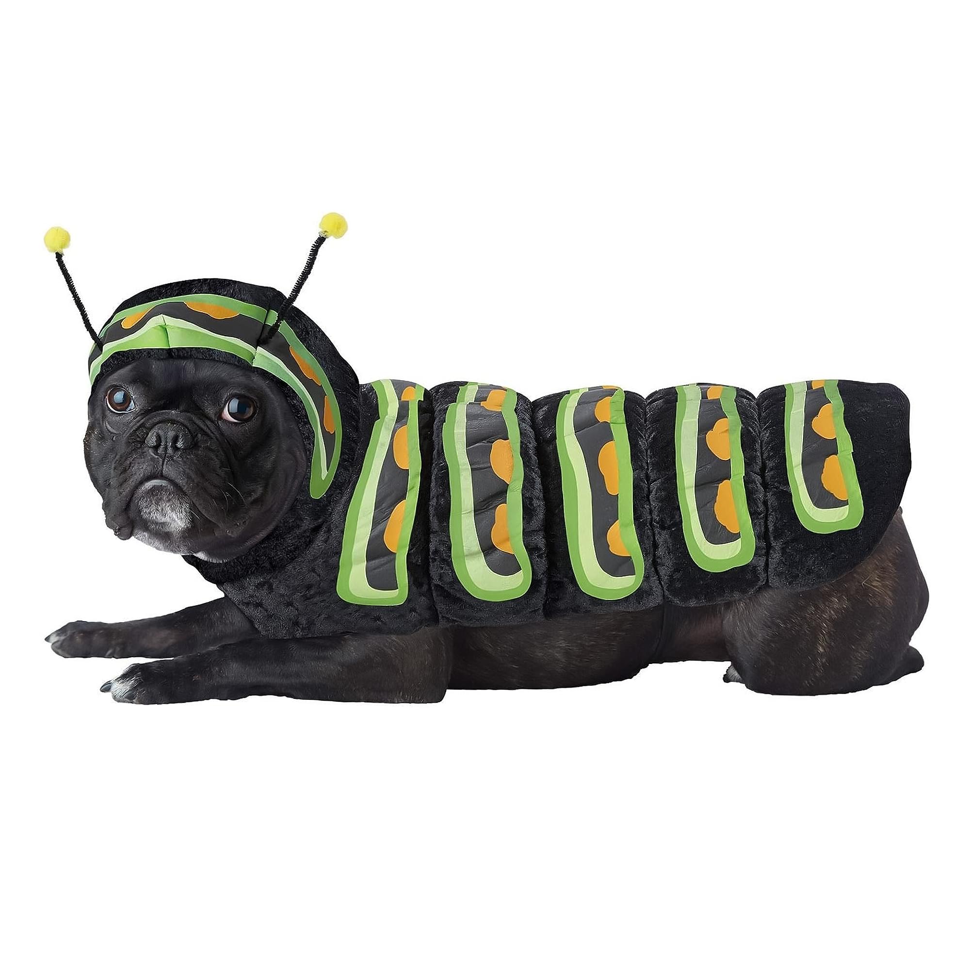 Caterpillar