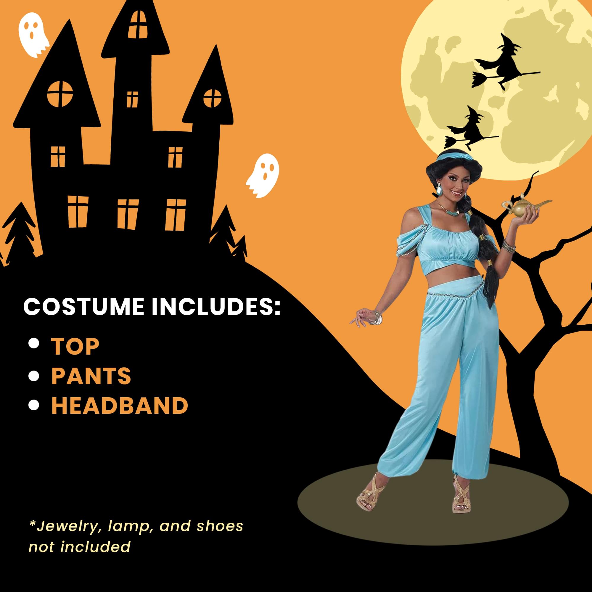 Classic Arabian Princess Adult Costume