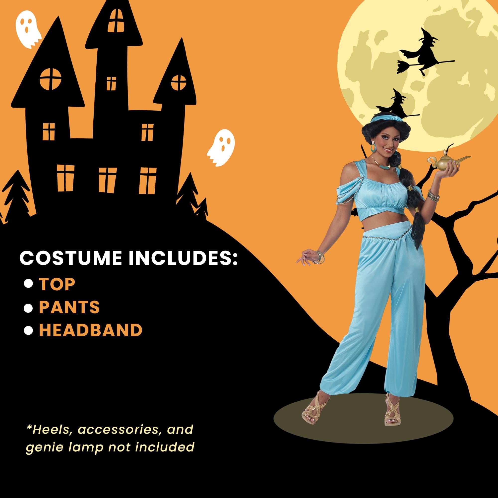 Classic Arabian Princess Adult Costume