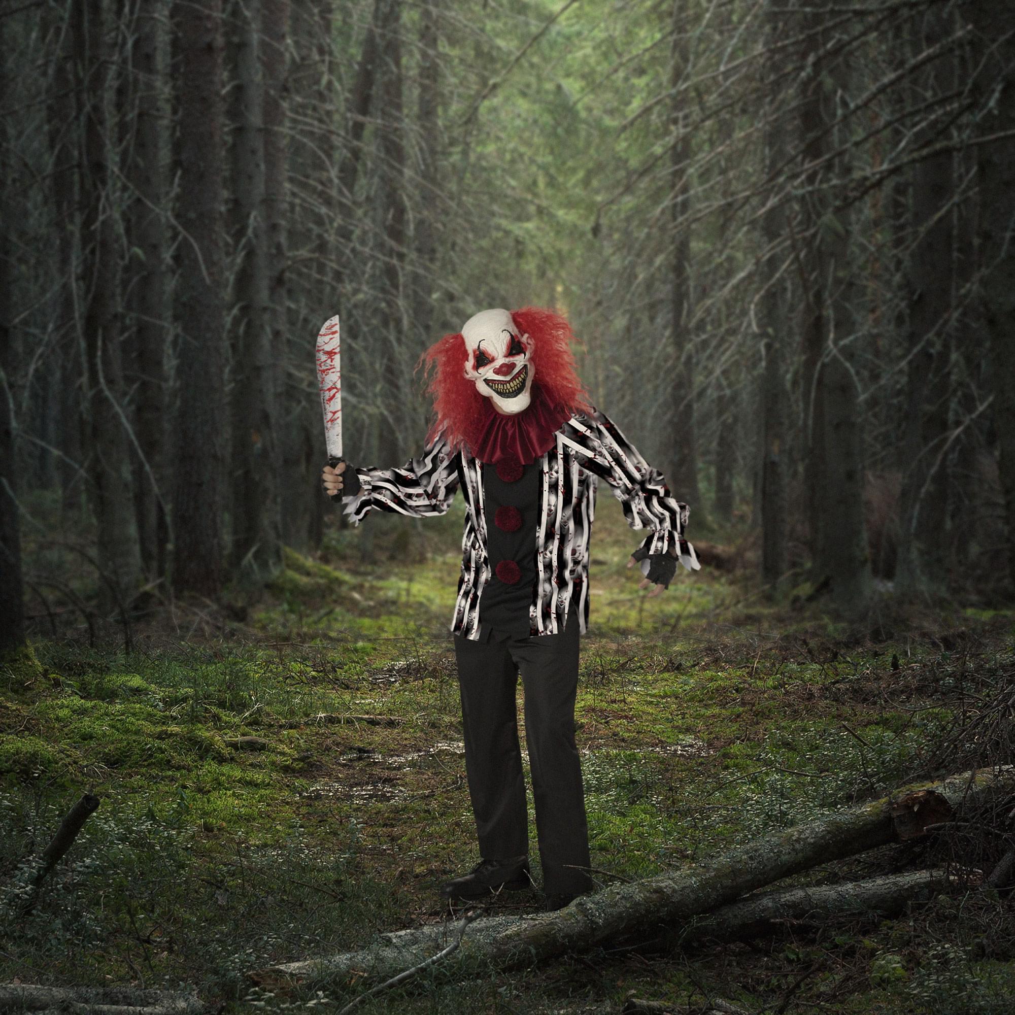 Demented Clown Adult Costume