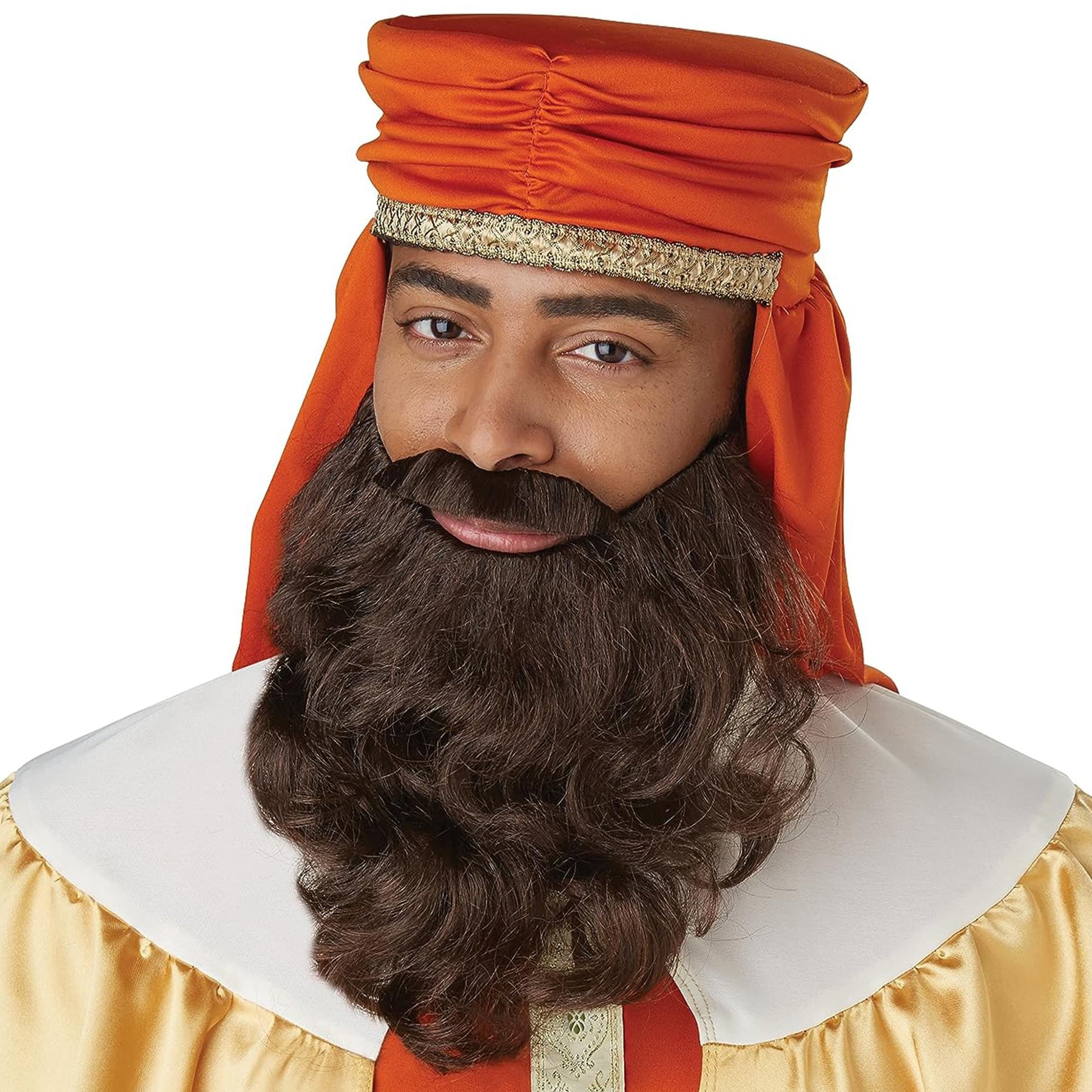 Wise Man Adult Costume Beard