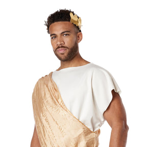Greek God Toga Plus Size Adult Costume