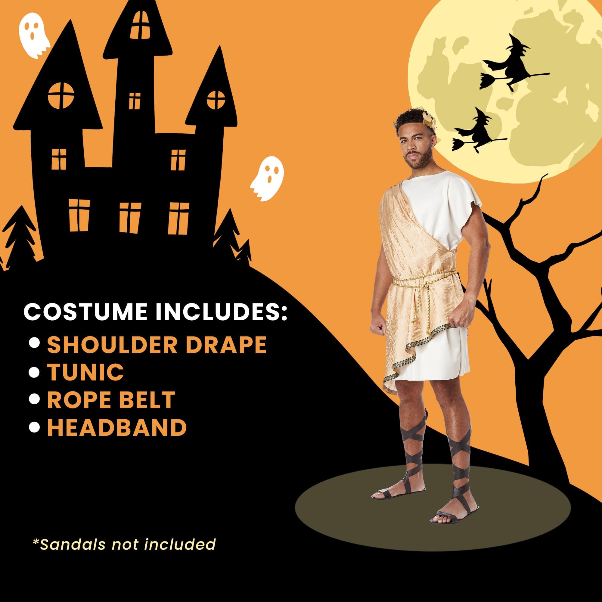 Greek God Toga Plus Size Adult Costume