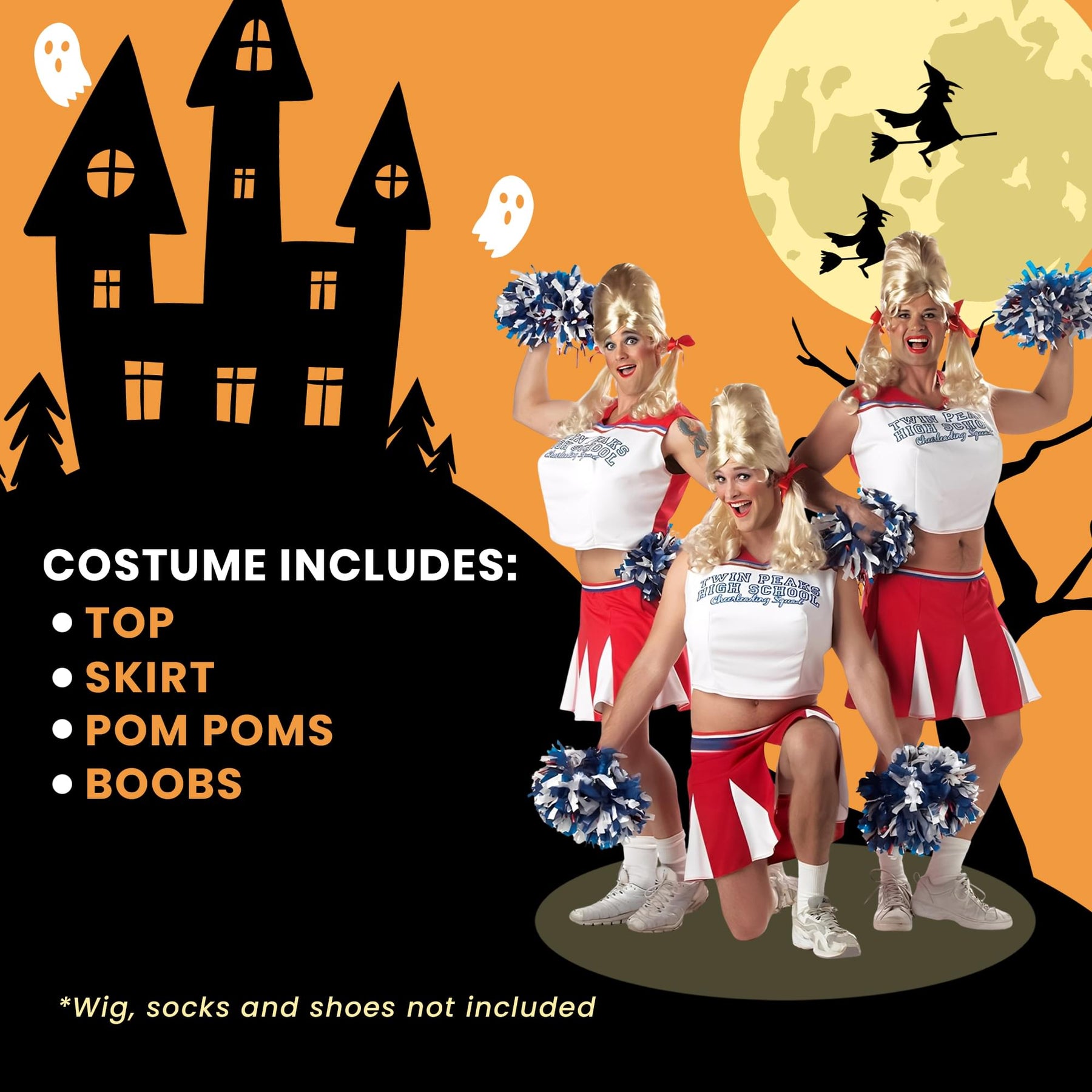 Varsity Cheerleader Adult Men's Costume